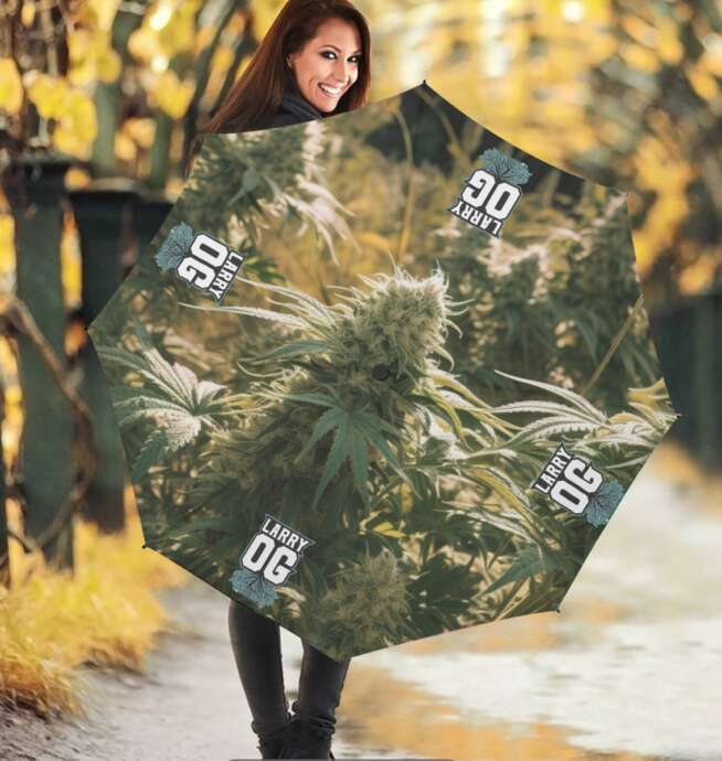 OG Umbrella