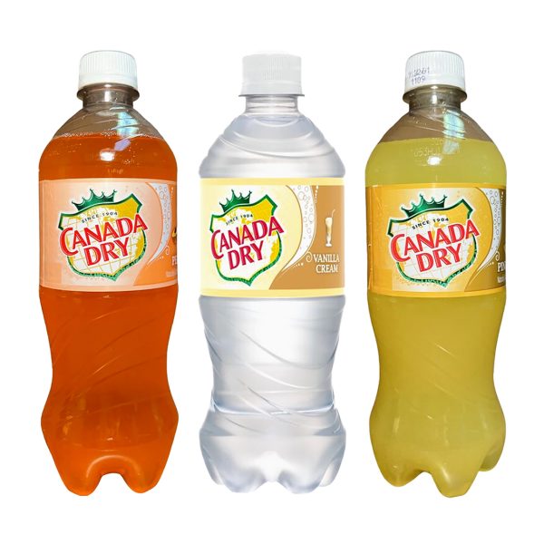 Canada Dry Soda Pineapple 20 fl oz bottle shown in original branded packaging.