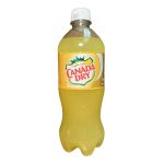 Pineapple 20 fl oz
