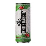 Watermelon Candy 12 fl oz