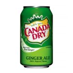 Ginger Ale 12 fl oz