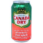 Strawberry Ginger Ale 12 fl oz